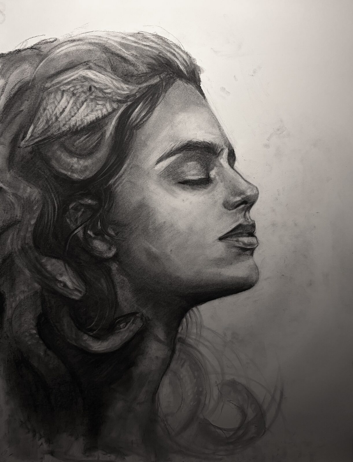 Medusa Study, charcoal by Claudio Aluzzi